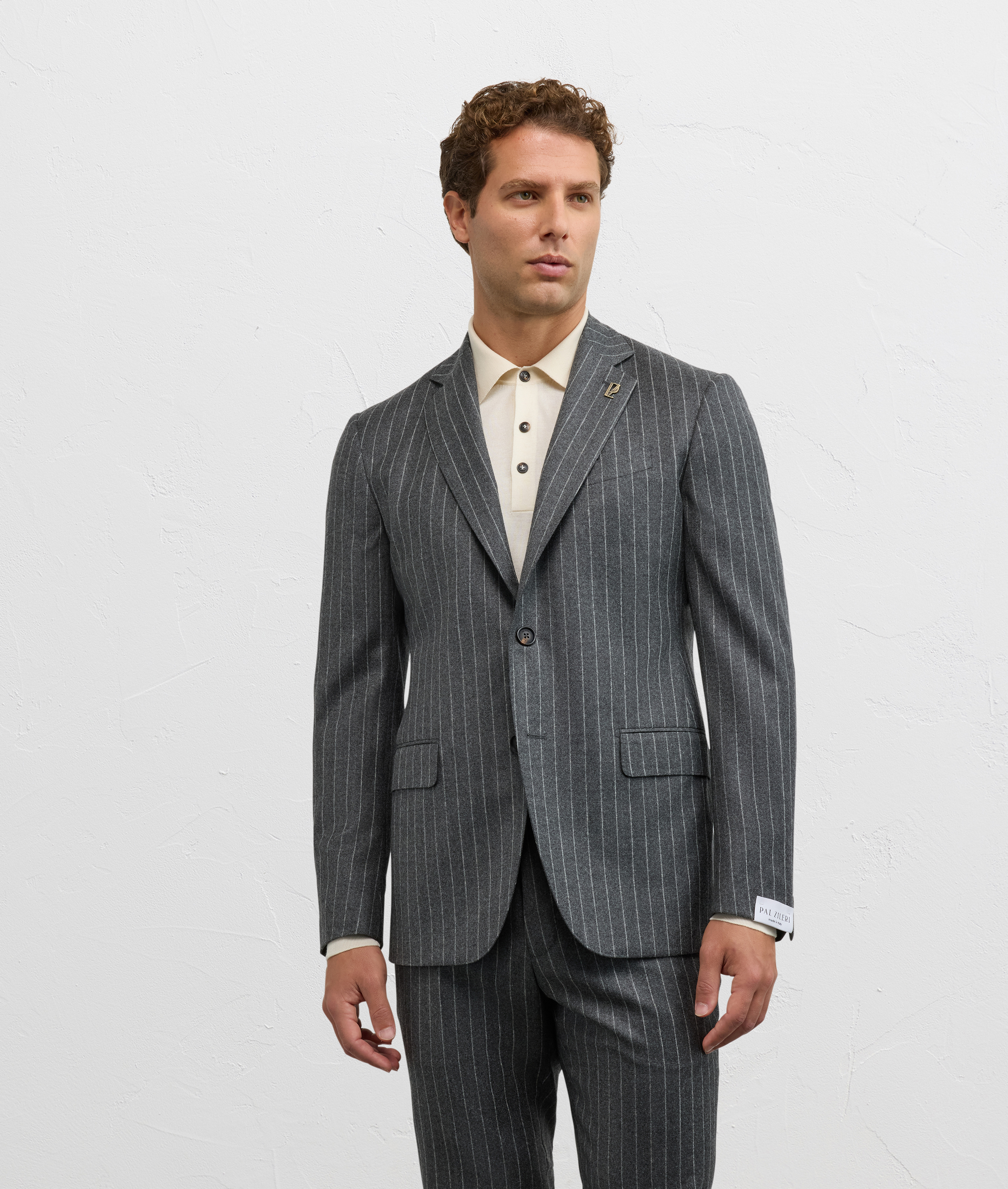 PAL ZILERI グレー ストライプスーツ　イタリア製 PAL ZILERI グレー ストライプスーツ イタリア製