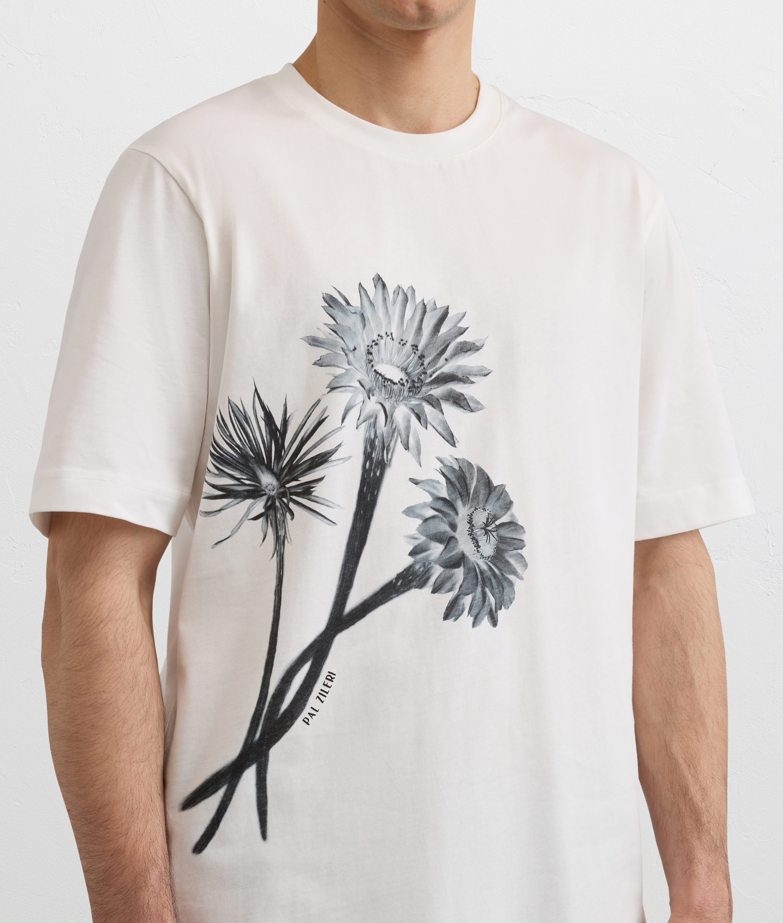 white printed cotton t shirt Pal Zileri | Shop Online
