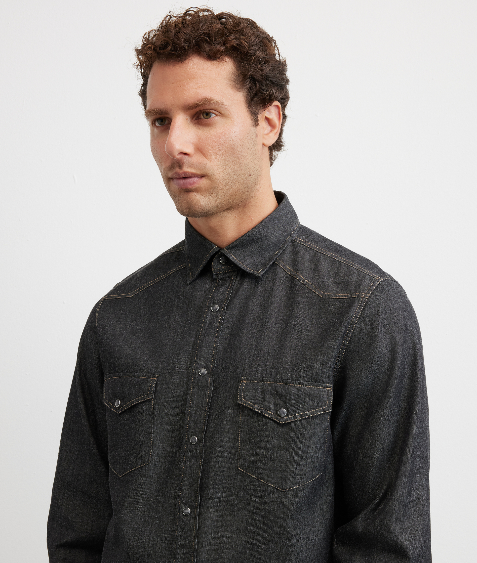 camicia collo siena regular fit in cotone nero - Pal Zileri | Official Website