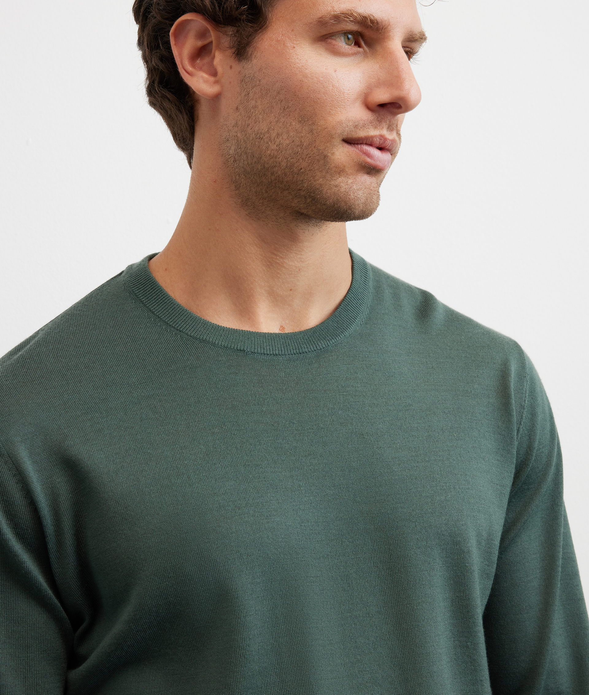 green wool long sleeve regular fit crewneck sweater - Pal Zileri | Official Website