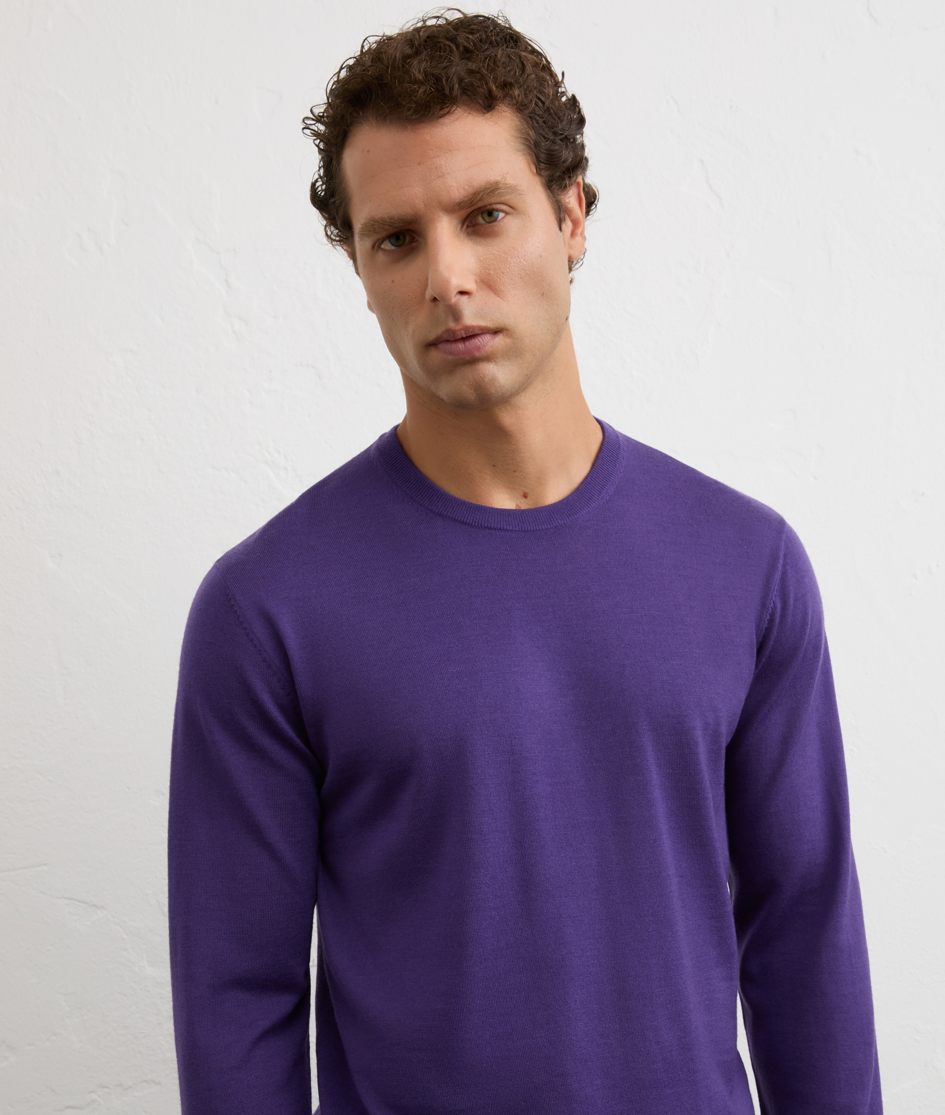 purple crewneck sweatshirt in effortless regular fit wool | Pal Zileri